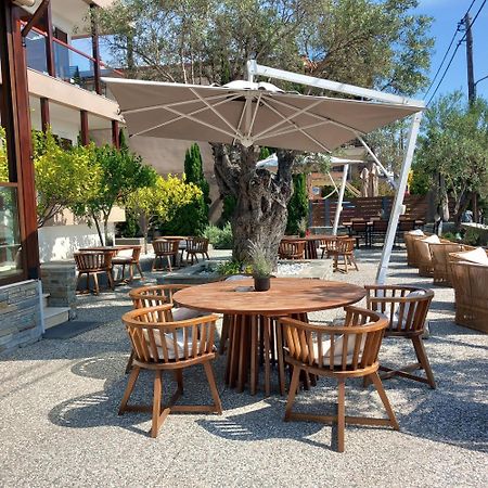 Ayia Marina Suites Uranopoli Exteriér fotografie